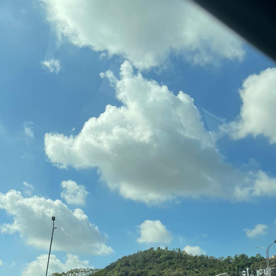 夏日炎炎