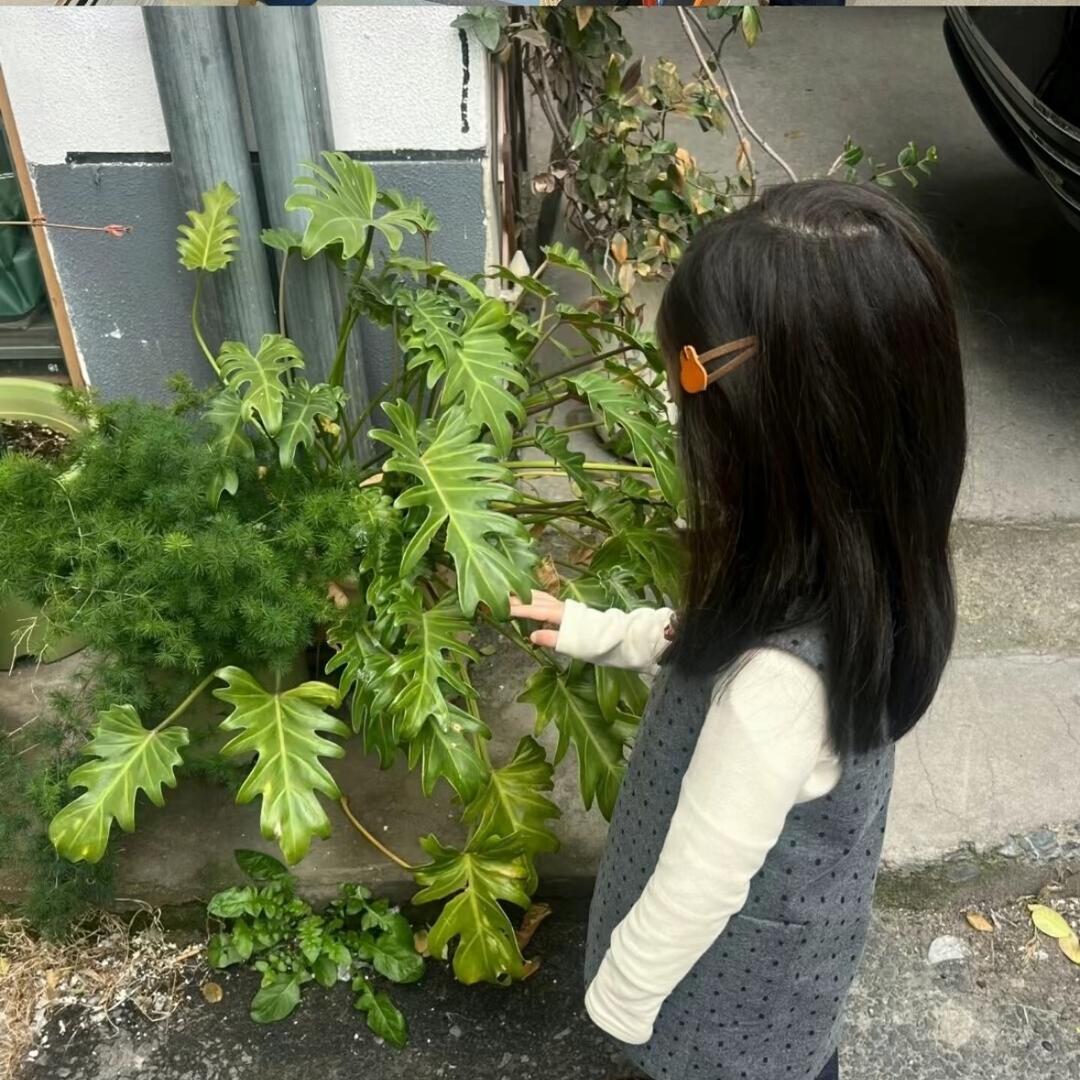 讨厌肿眼泡