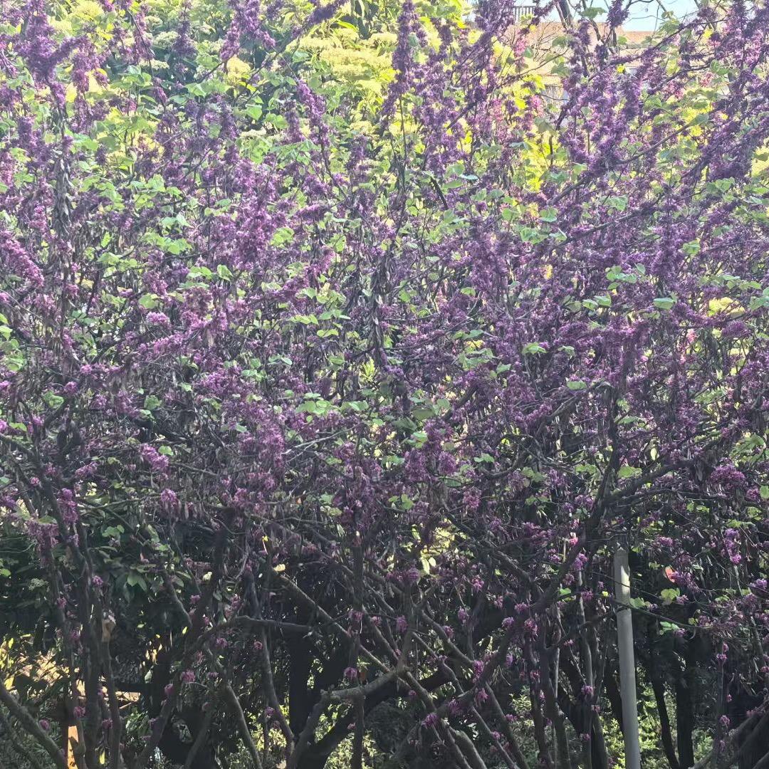 积极向上