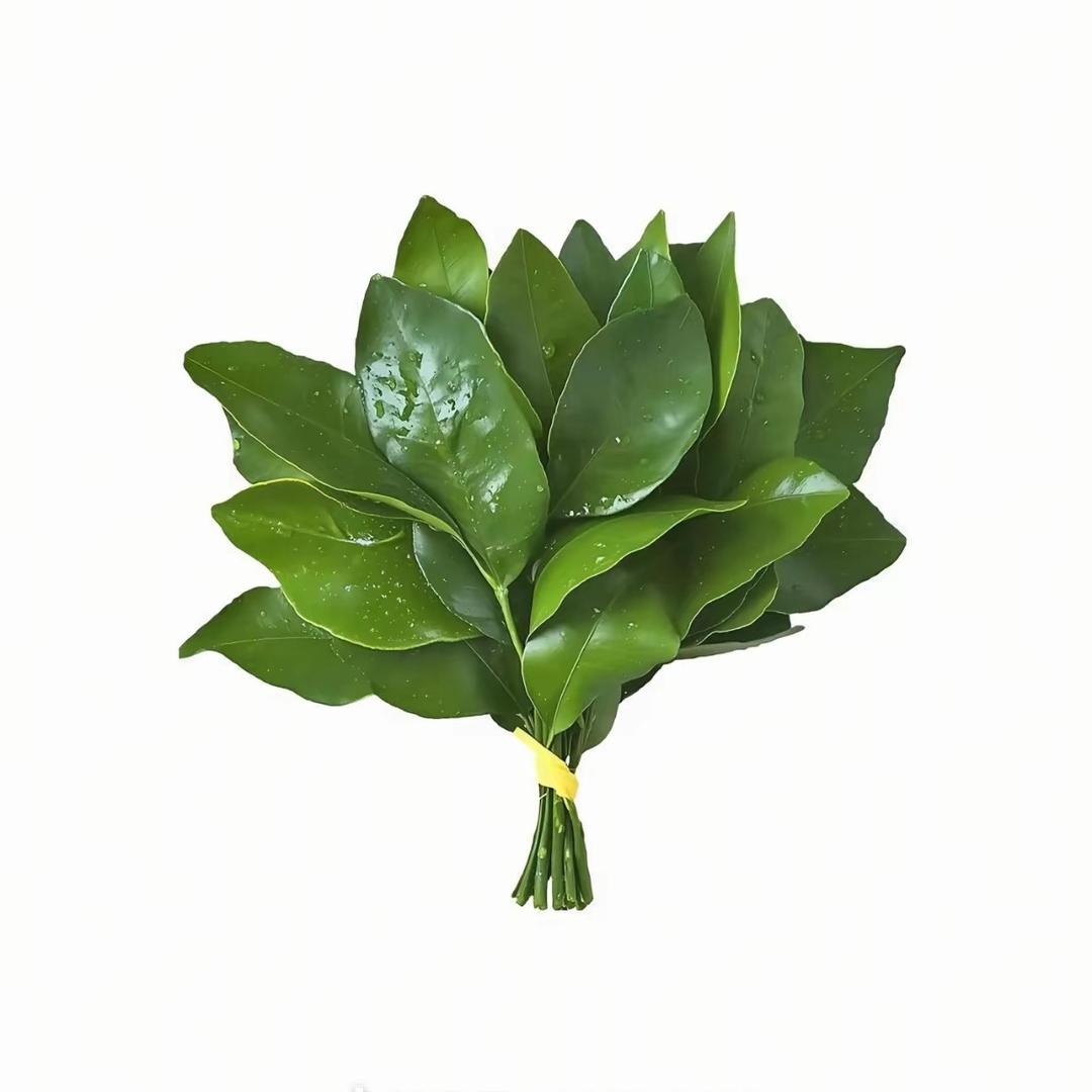 农村人