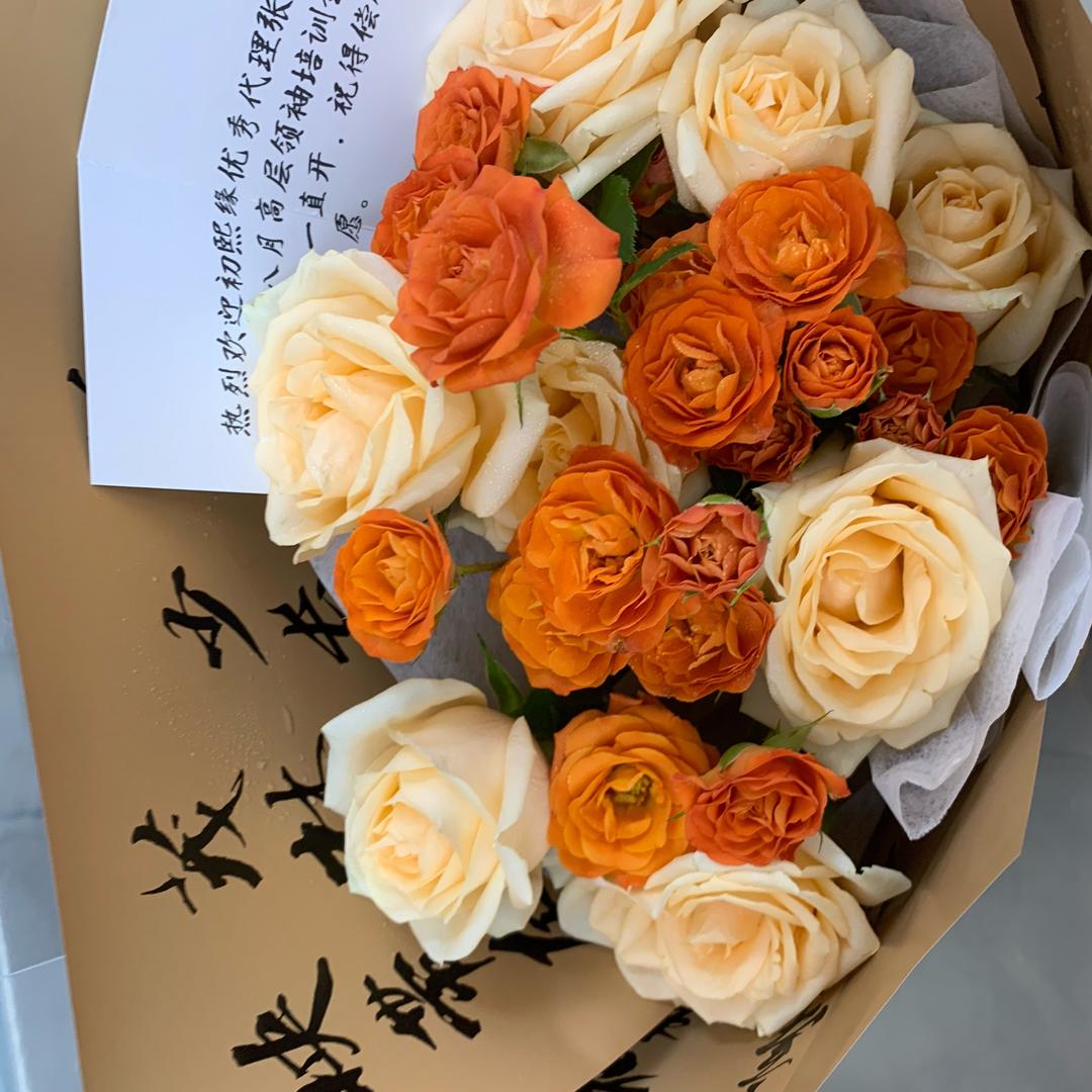 容容再次起航