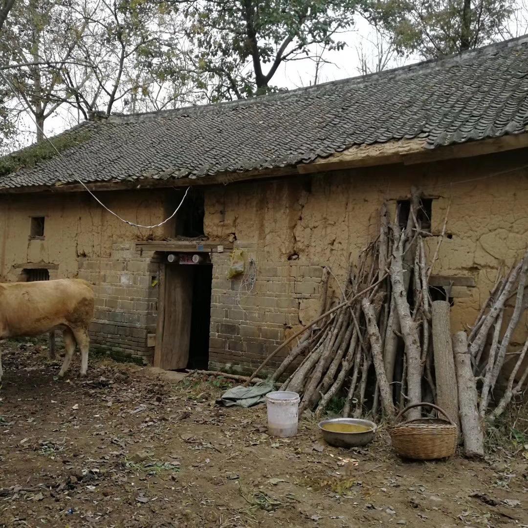 YiJiUBAWu