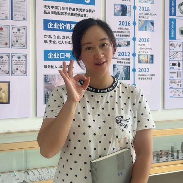 苏州赛克利弹簧