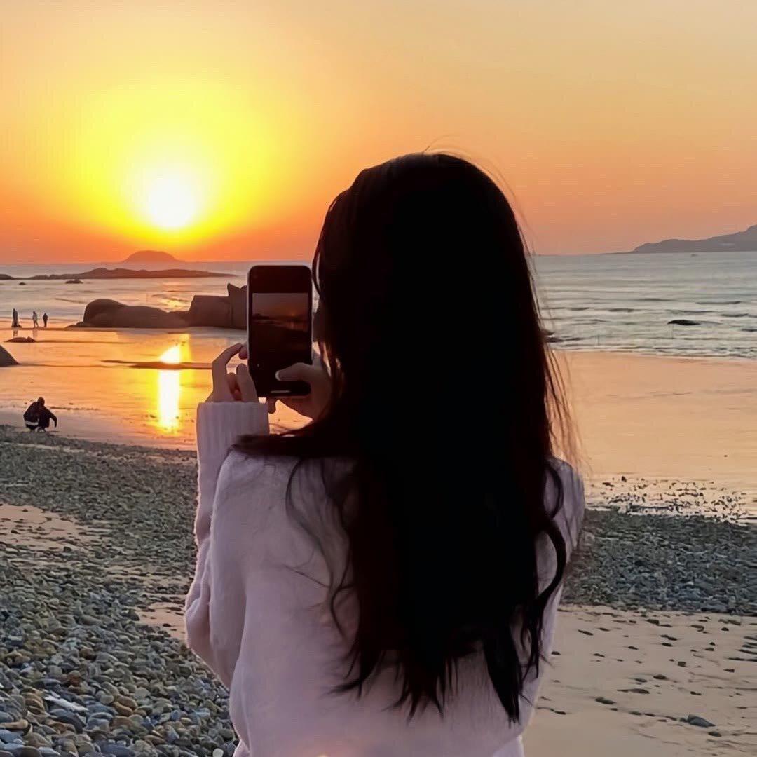 公主殿下的专属搬运工🍑