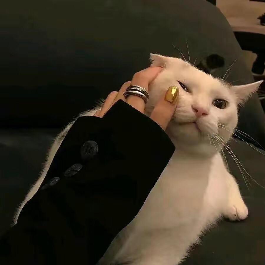 婷婷.