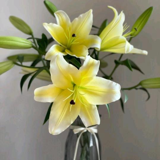 呈之南花卉（百合大哥）