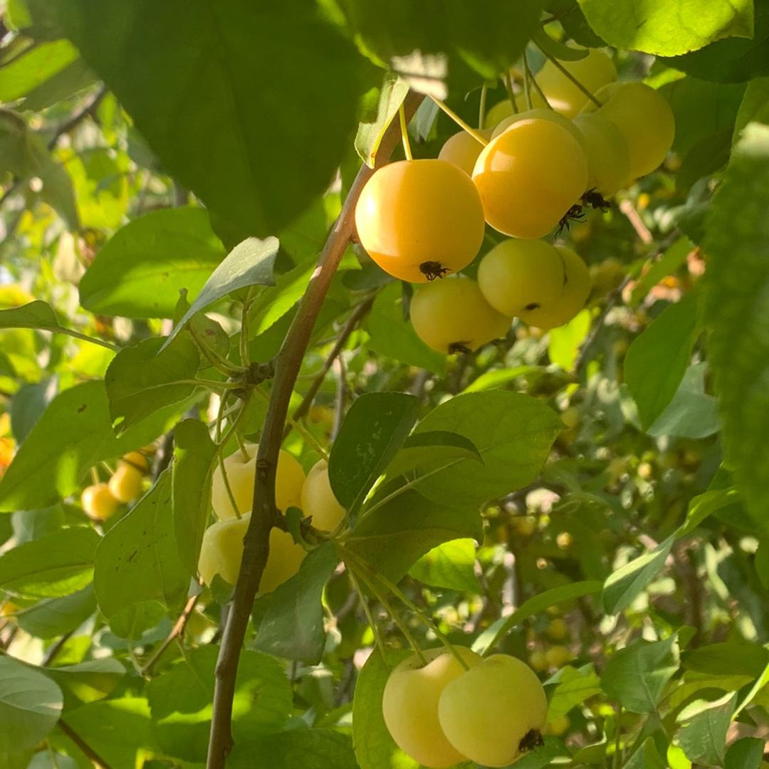 控糖养生老师妞