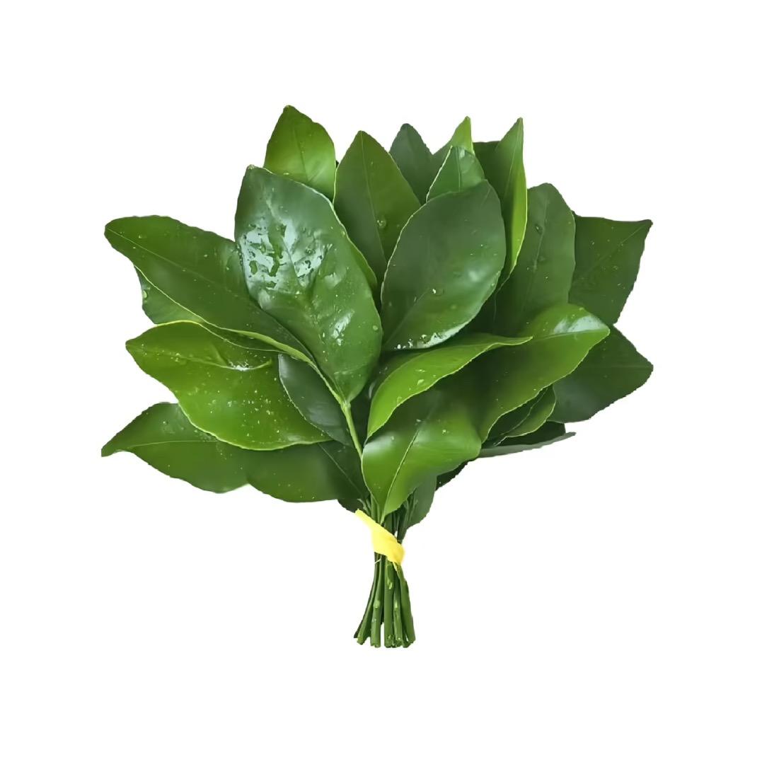 麻辣烫脑袋