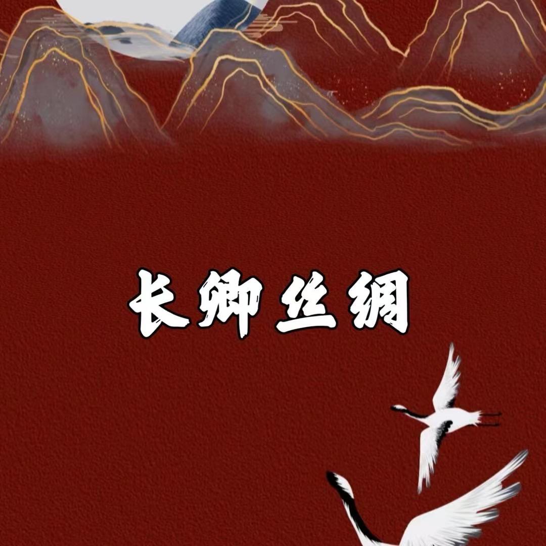 长卿丝绸（现货号）