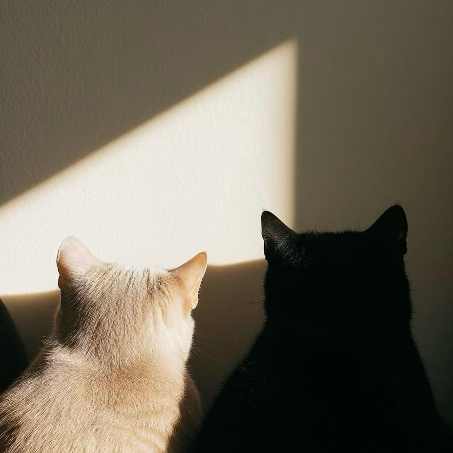 倩倩～好物分享