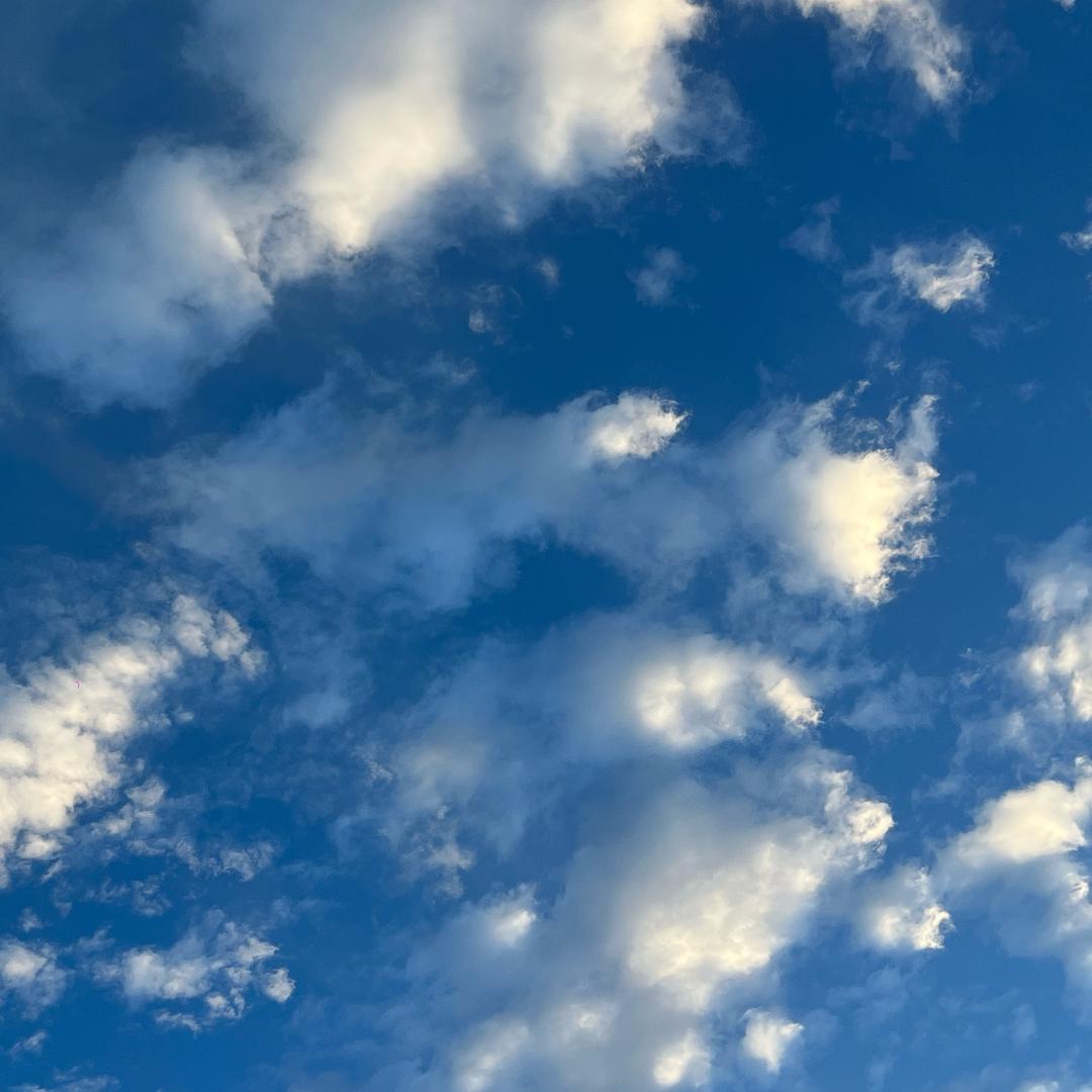 睡个好觉😴😴