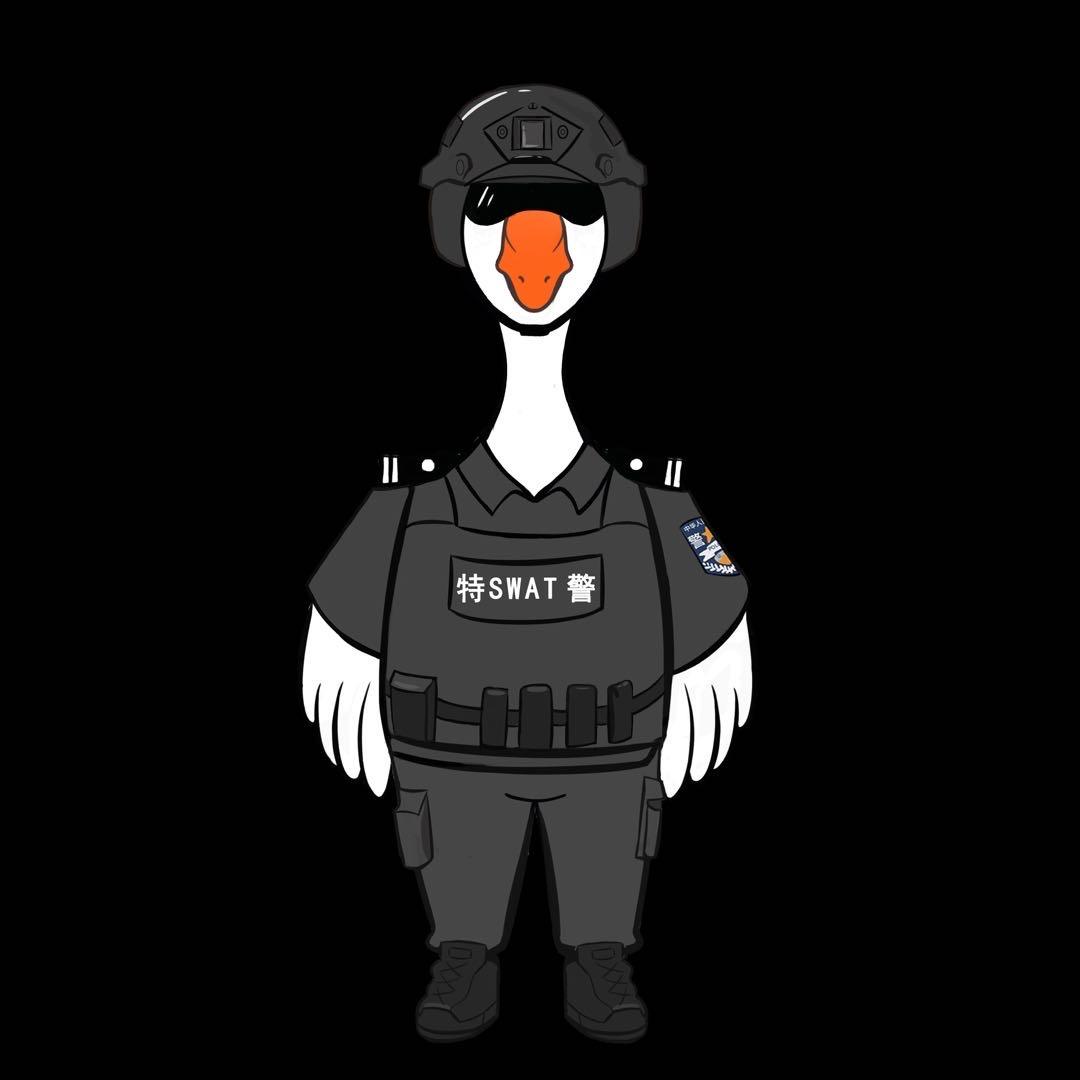 六安特警