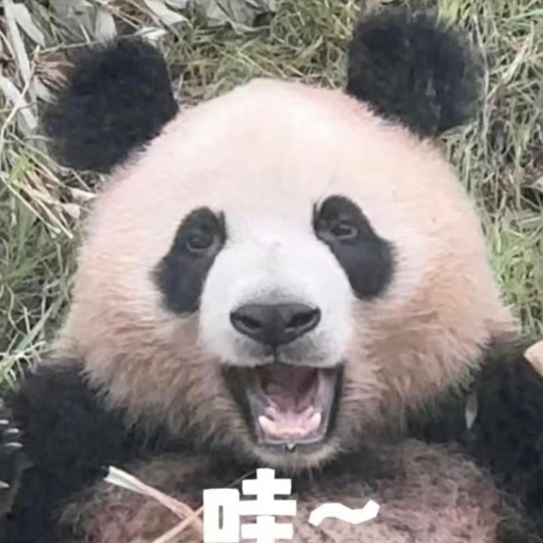 今晚不熬夜。