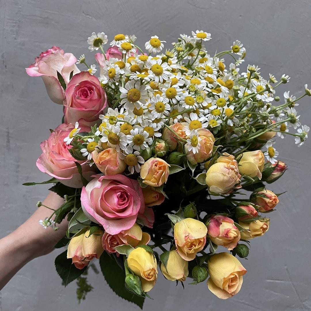 🌈小王不吃香菜