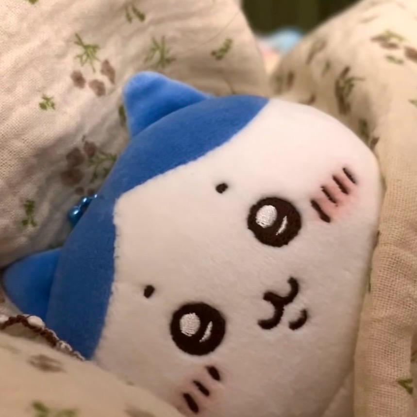 阿oe