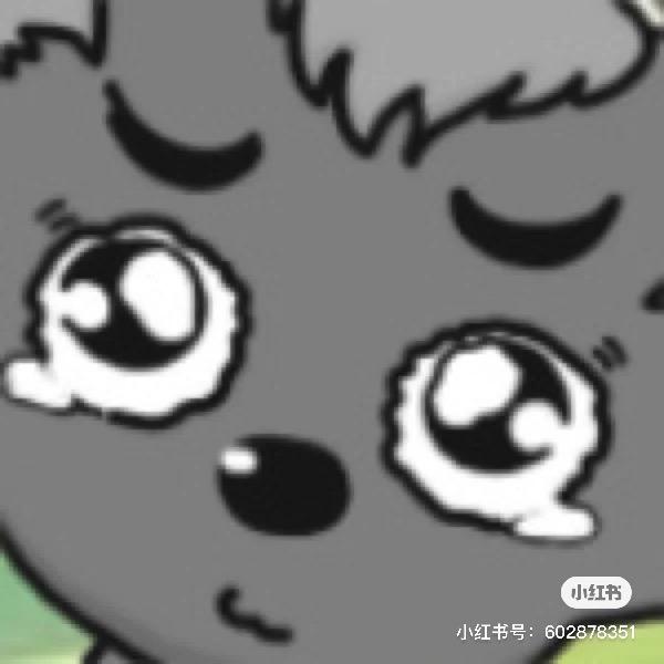 找不到灰太狼的小灰灰
