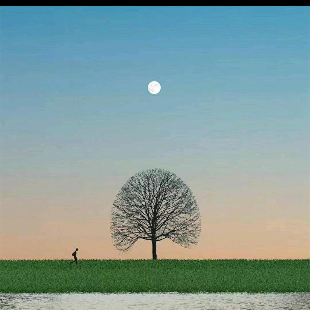 随行