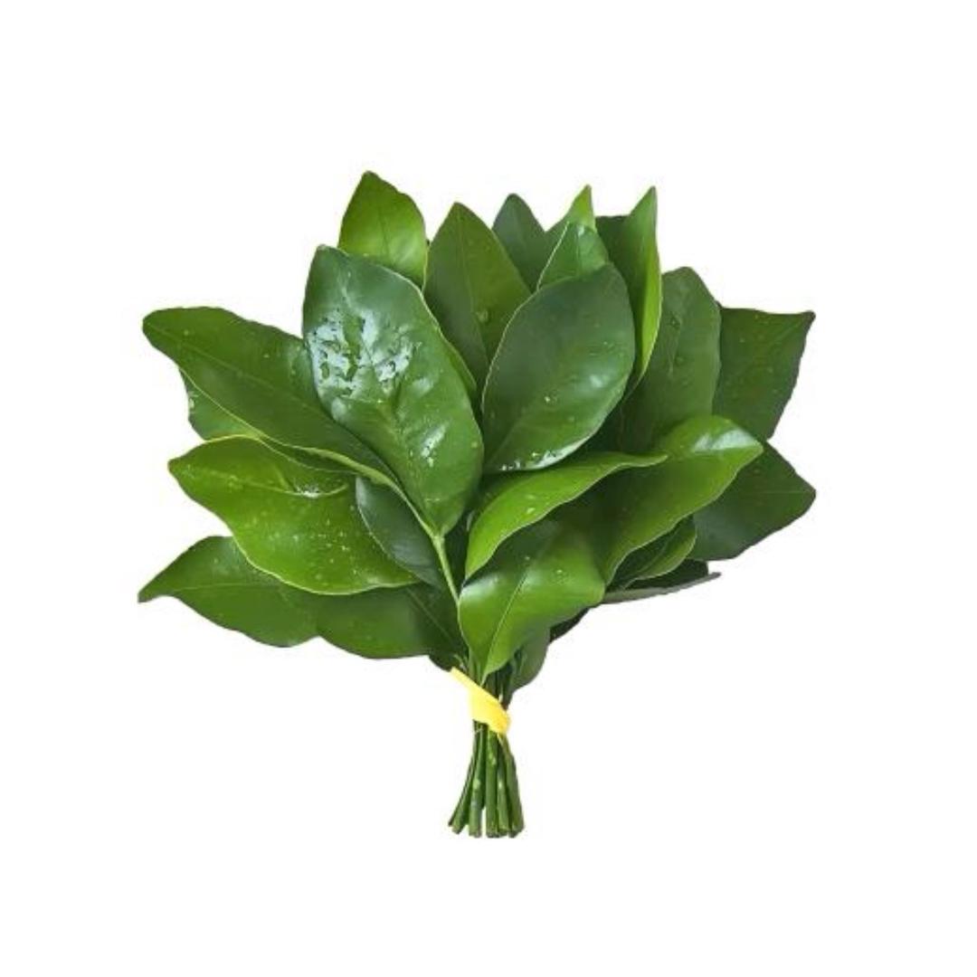 。。。。。。。。