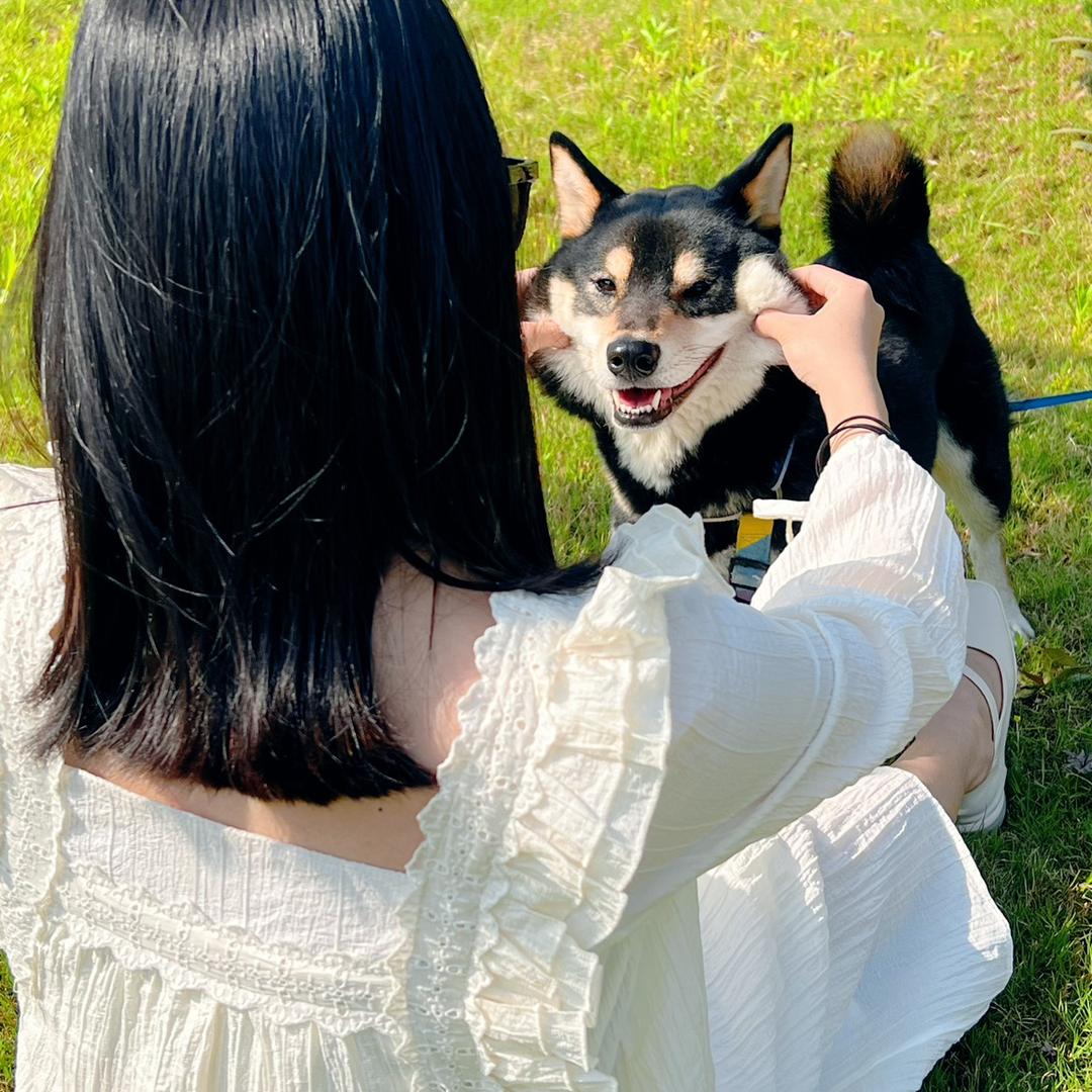 如何呢