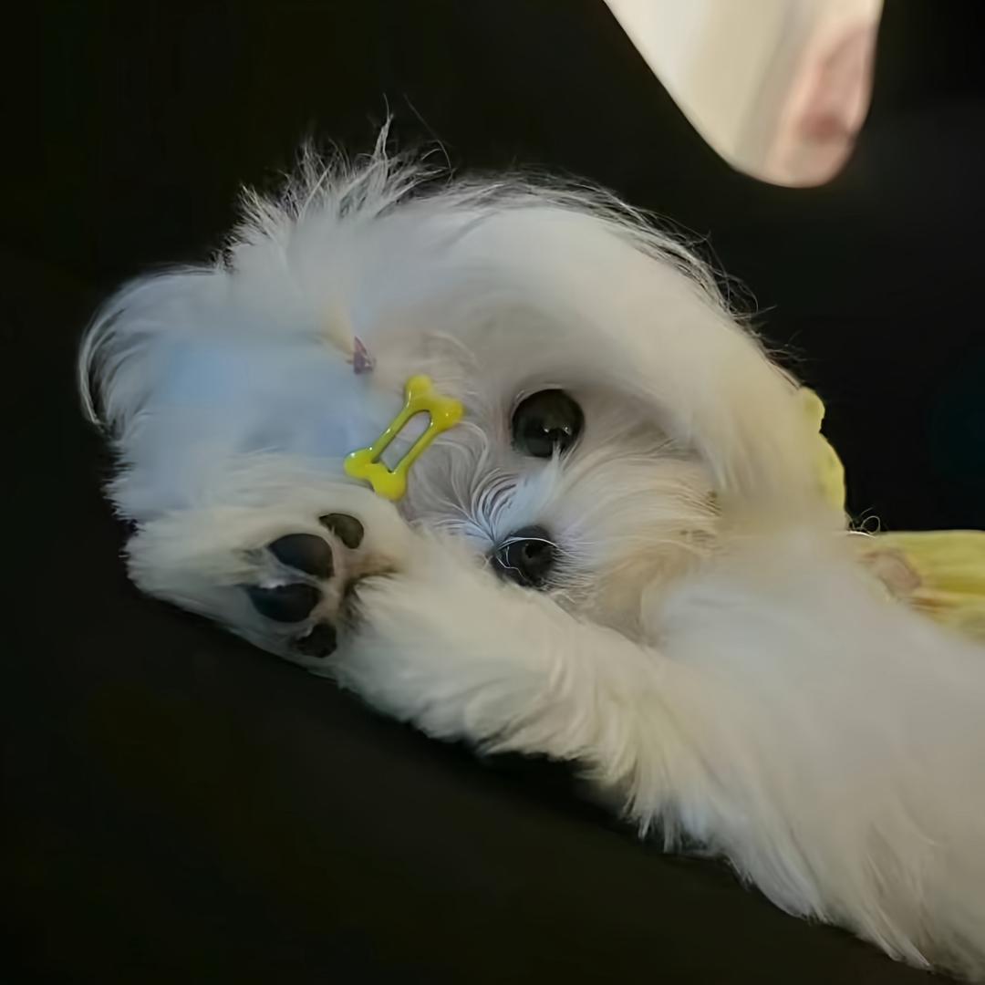 ㅤ     ㅤ
