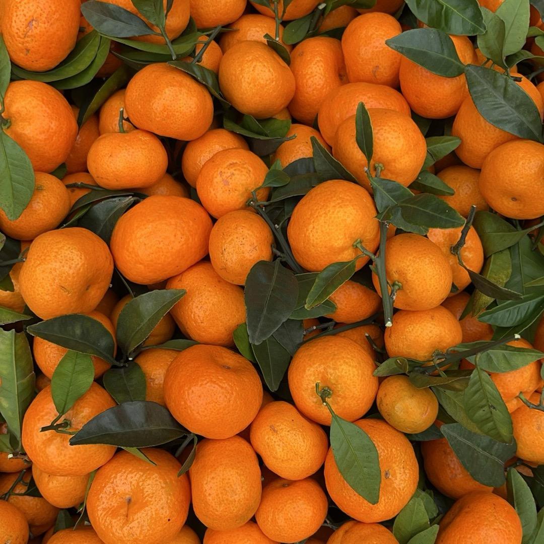 小唐水果代收代发一条龙服务