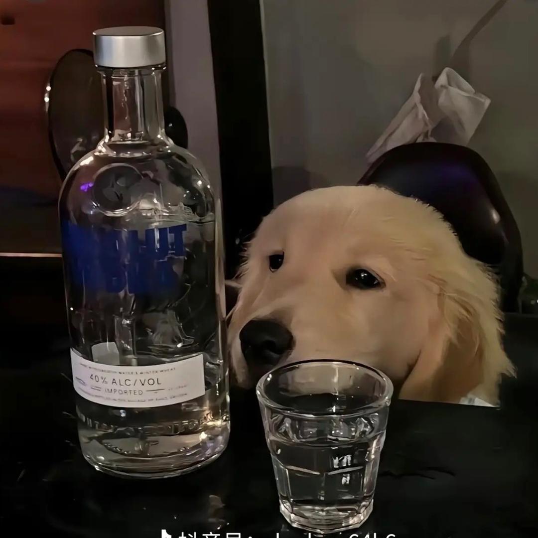 尧芬琪