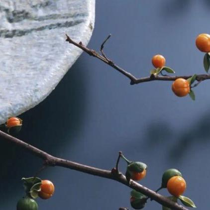 德易智慧