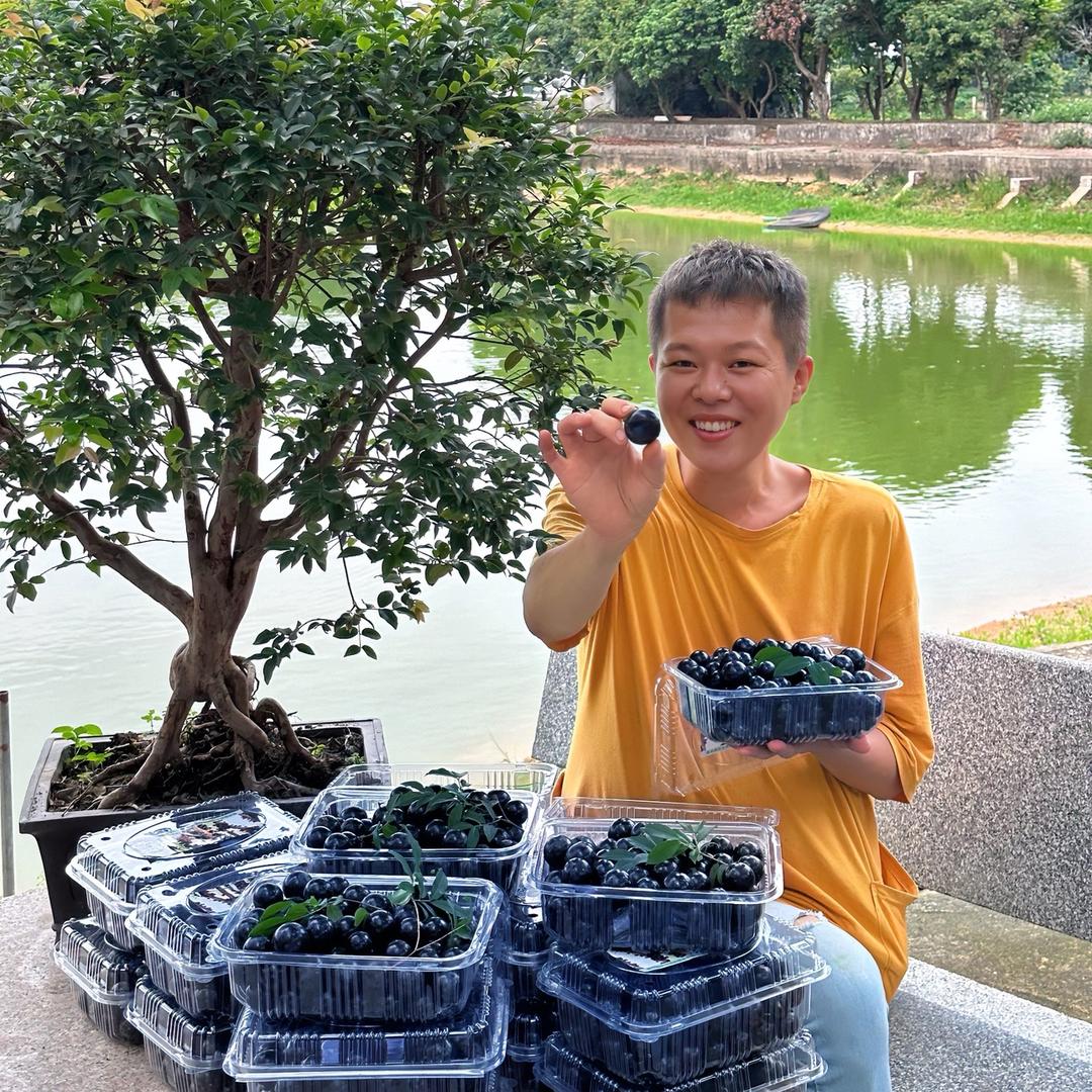 台湾空空的果园