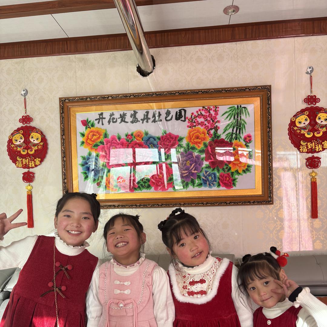 金鼎黄芪当归党参