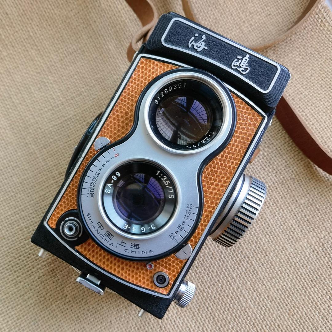 一只“Seagull”