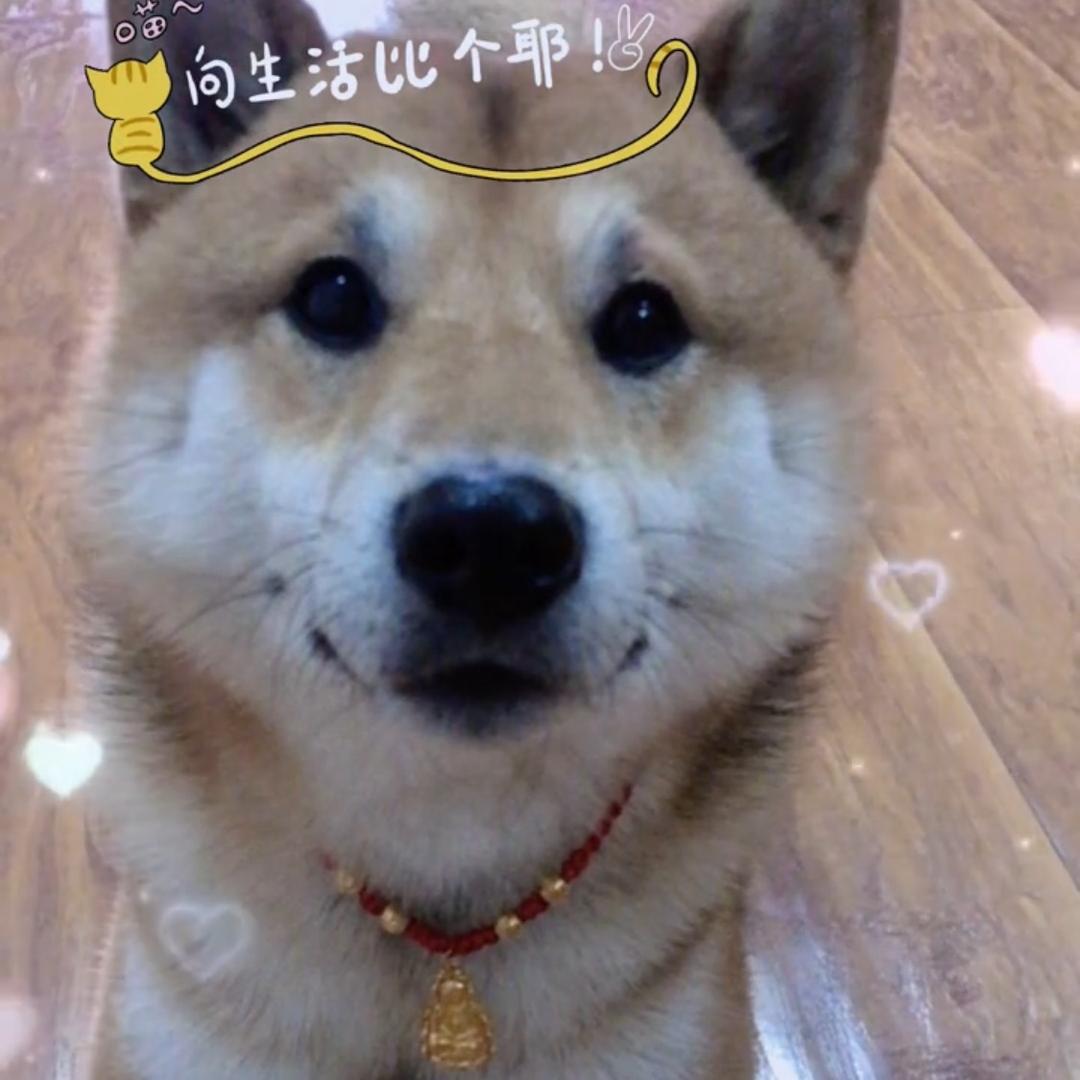 💕七七💞࿐