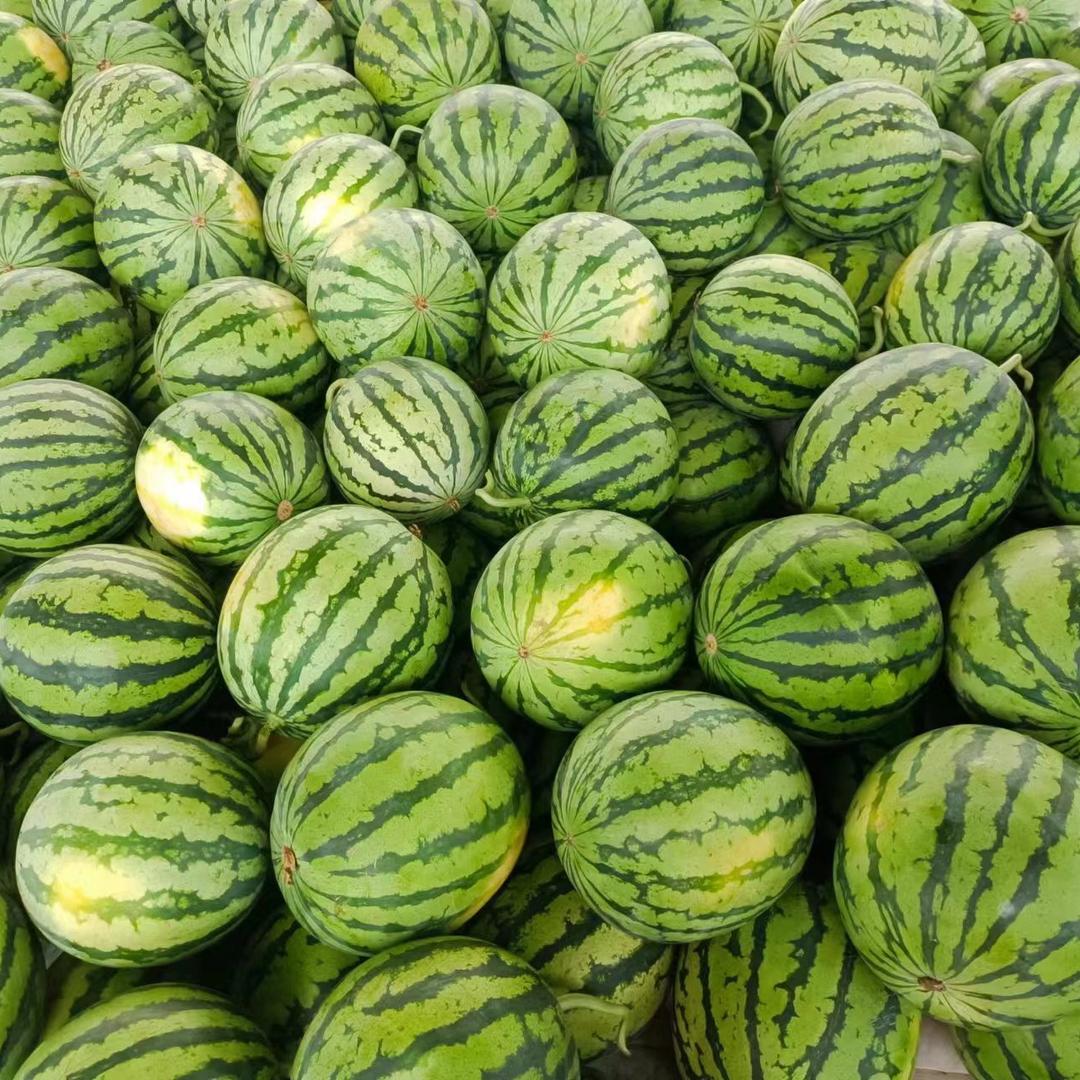 正邦农业有限公司