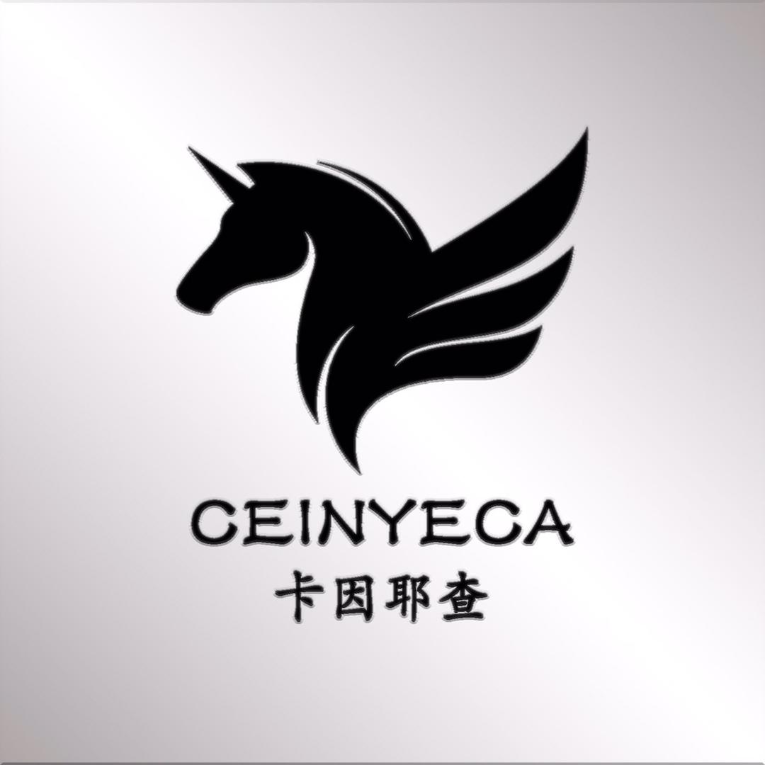 CEINYECA卡因耶查男装馆