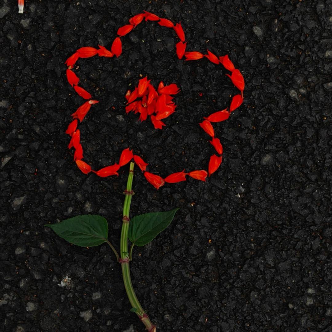 ╭知恩っ˘珍ʕ•̫͡•ʔ