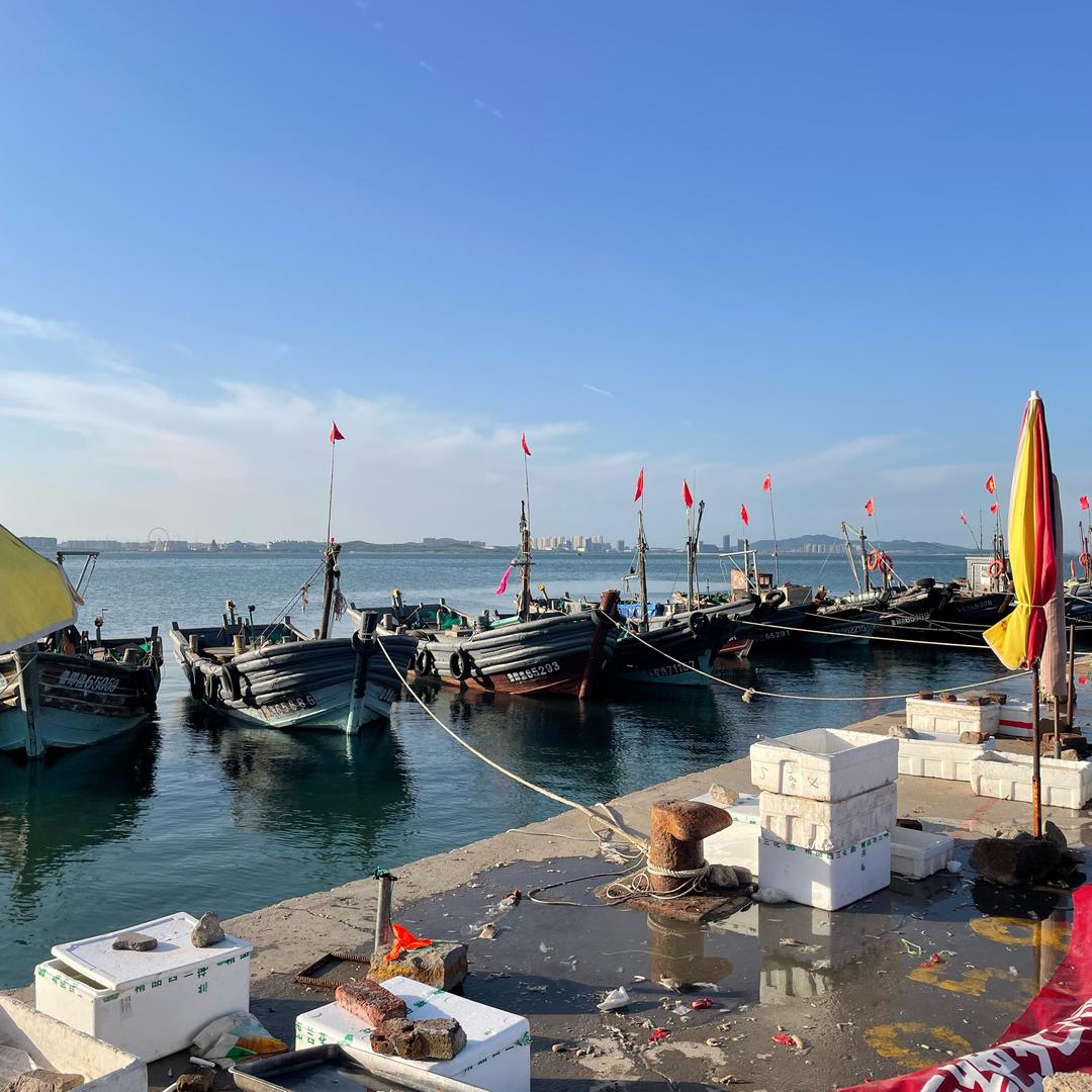 青岛小鲜俚码头海鲜