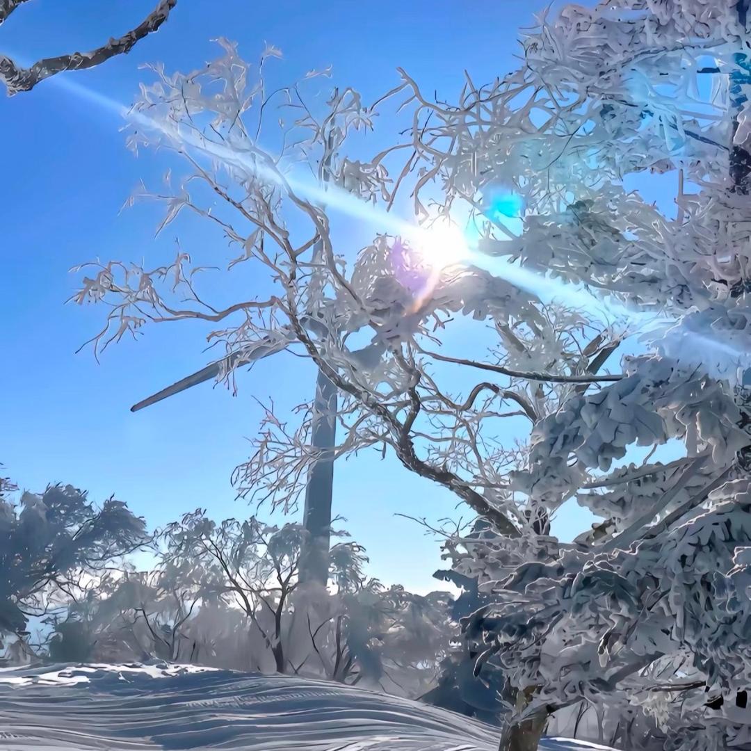 崇汇财税 /娜娜