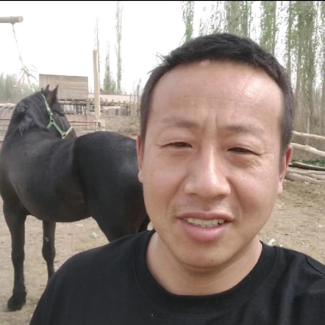 新疆潘哥选牛