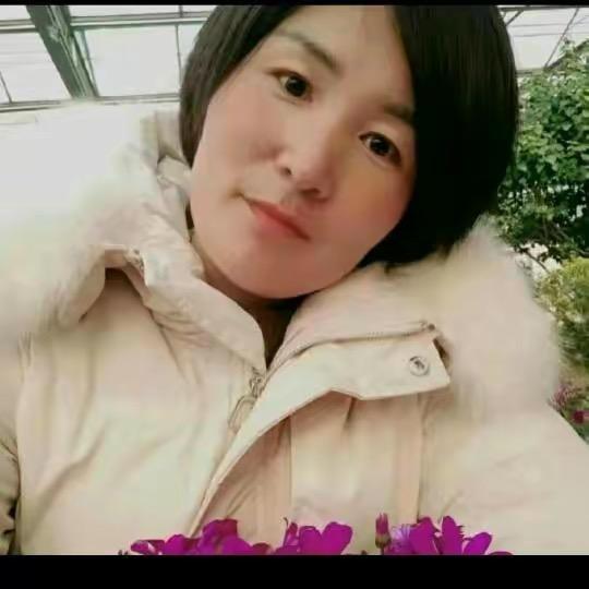 小燕子2