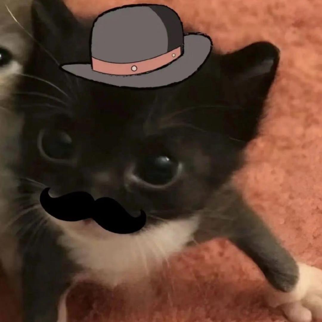 ≽^•༚• ྀི≼