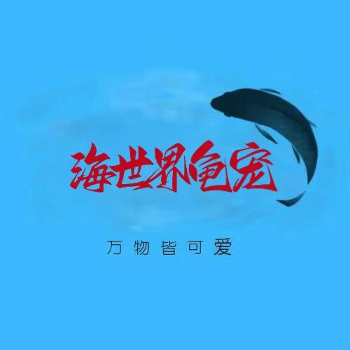 海世界龟宠