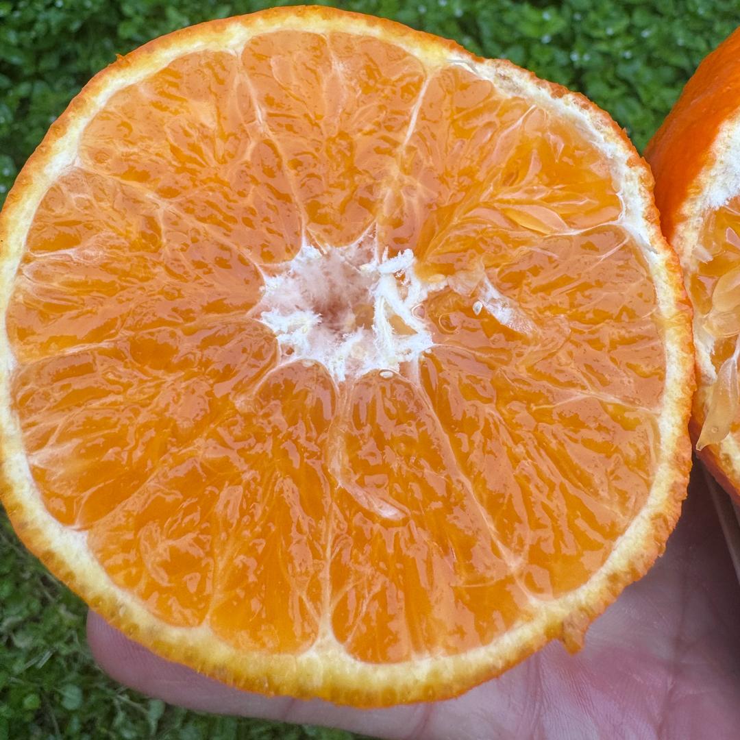 ༺࿅宁静致远࿅༻