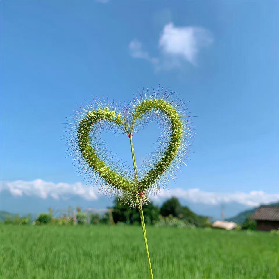 暖心 ❤️向阳☀️