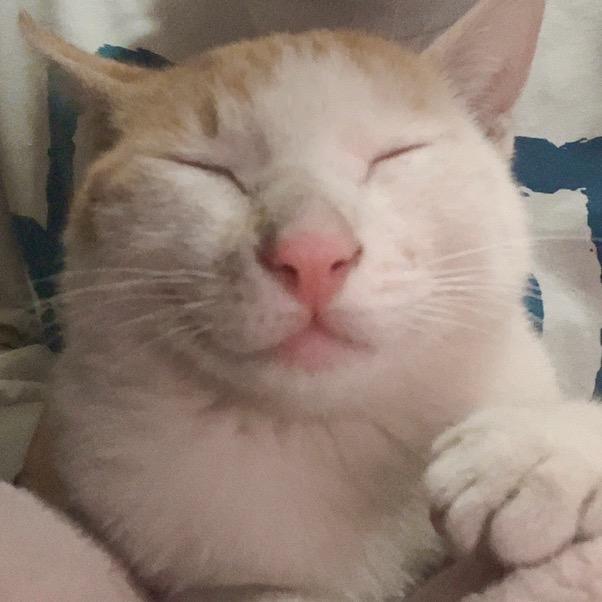 鲨鱼姐姐