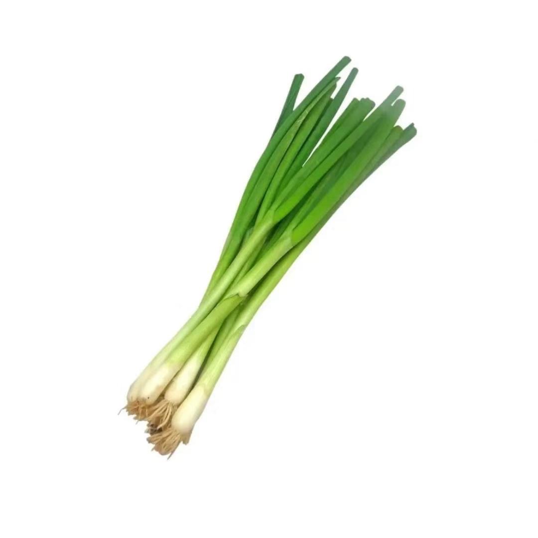 蔬菜