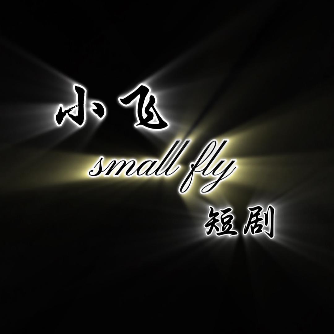 小飞短剧