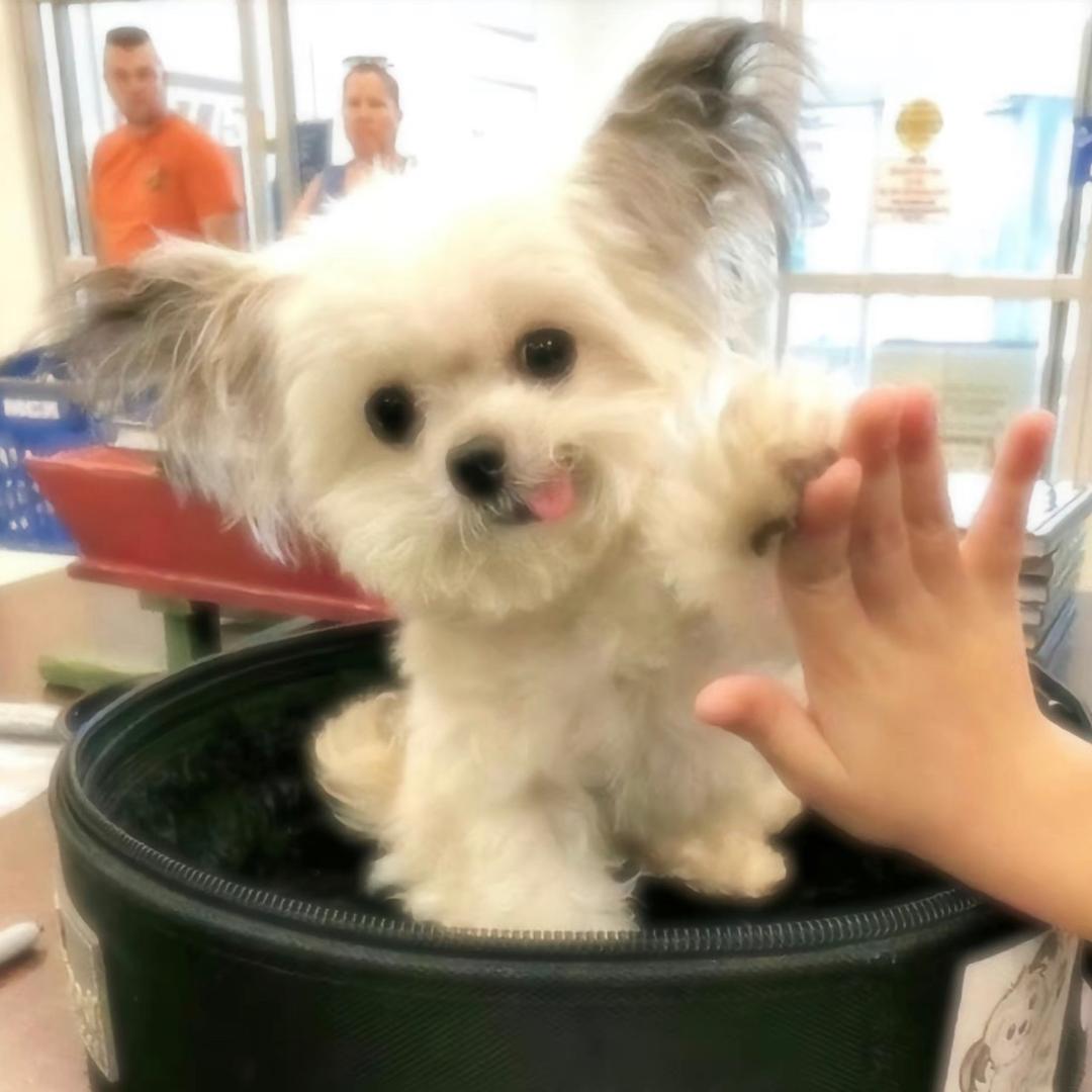 我呼呼睡