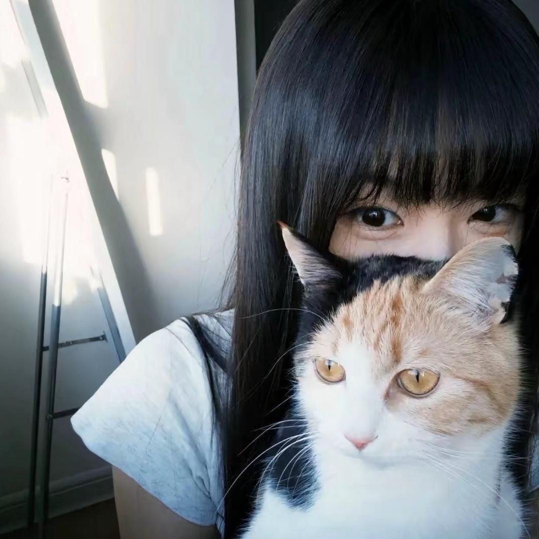 ㅤ￴￴ ￴ ￴ ￴ ￴