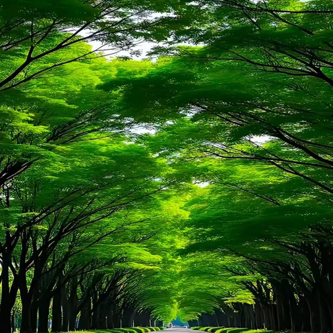 沉默