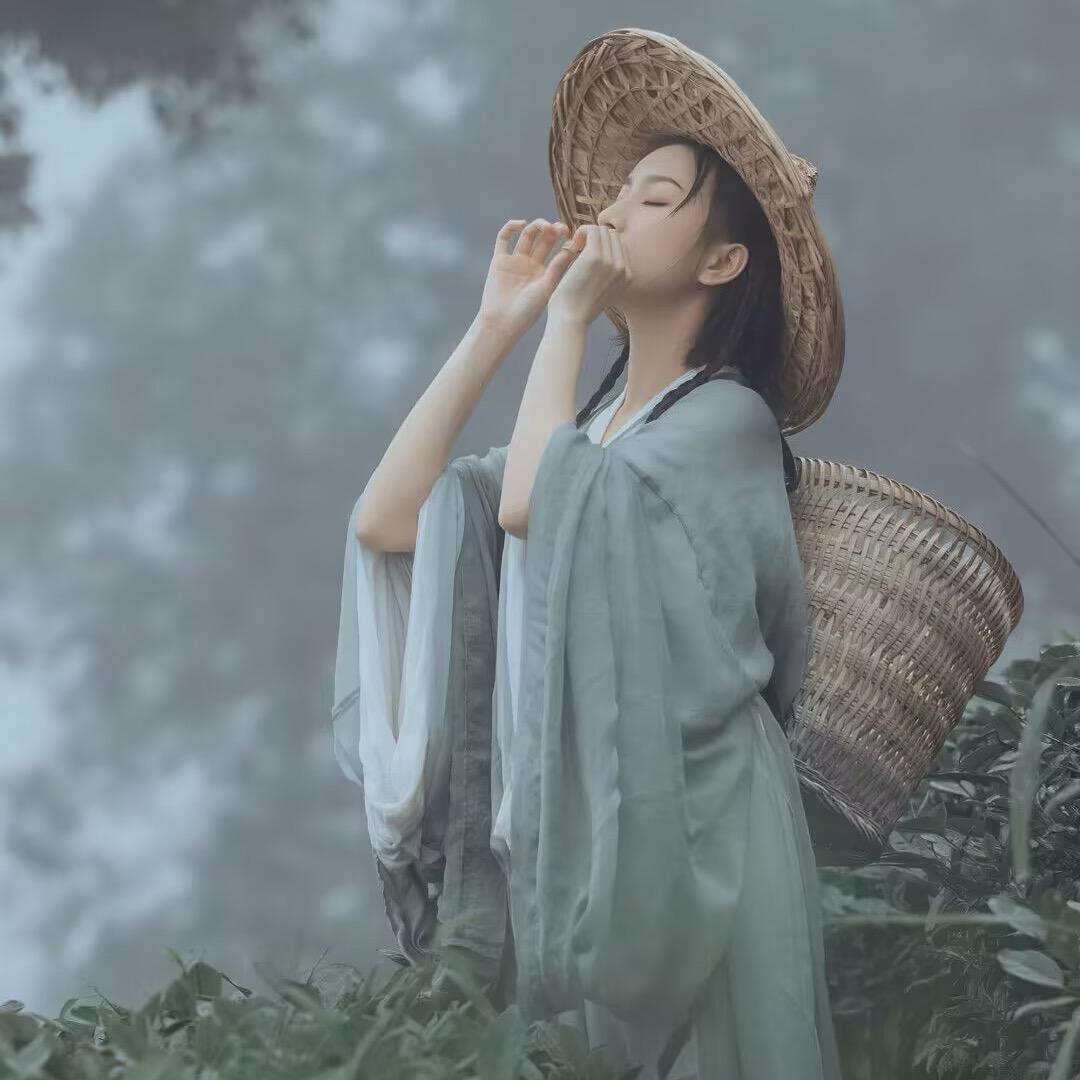 一碟茴香