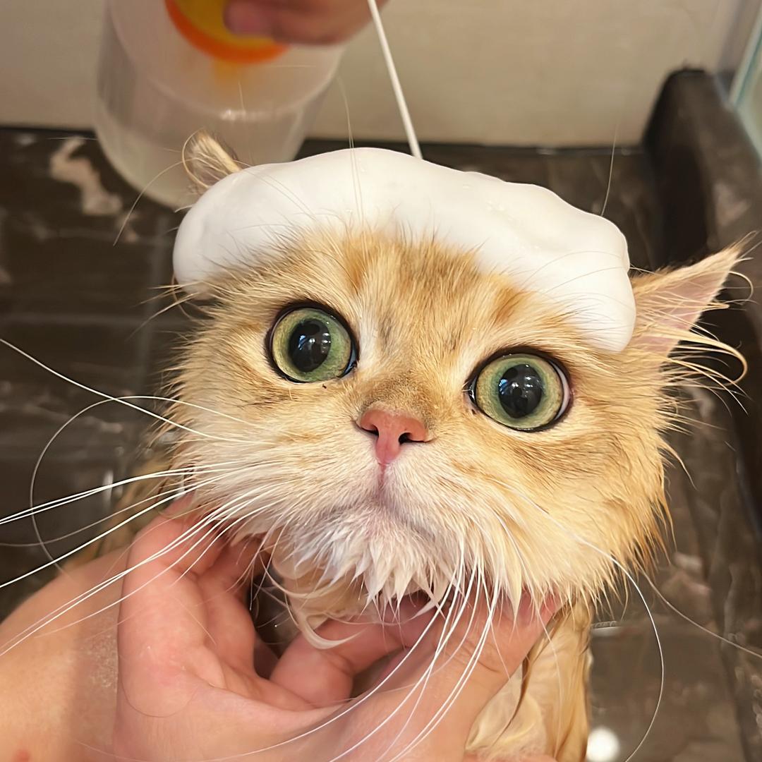 大咖超级包